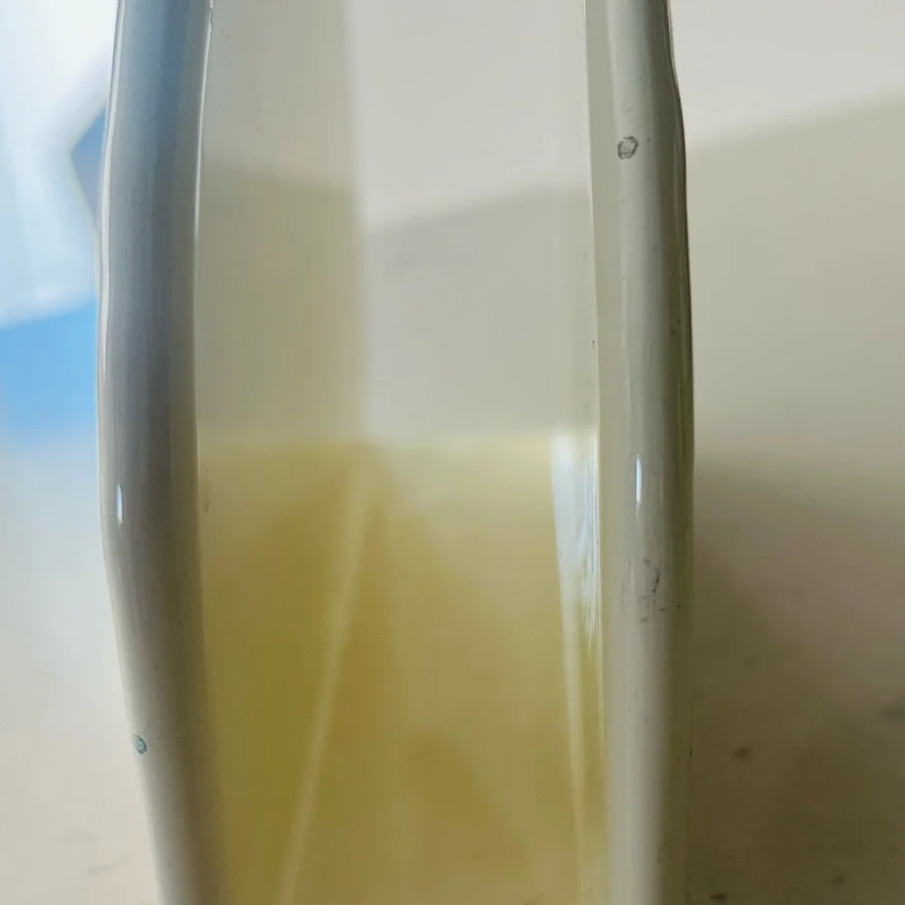 MacKenzie Childs Enamel Napkin Holder Morning Glory - Retired Pattern Rare - Picture 2 of 6